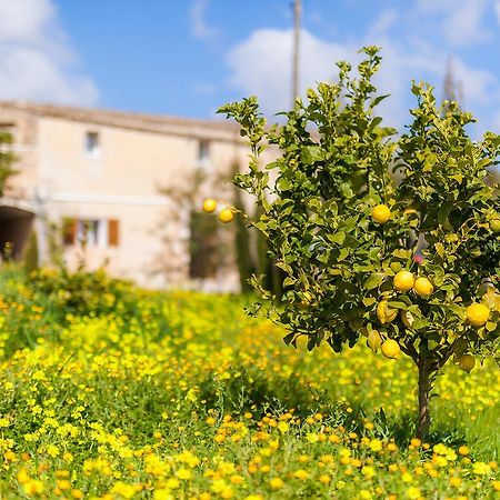 Finca Son Prohens Hotel Felanitx Eksteriør billede